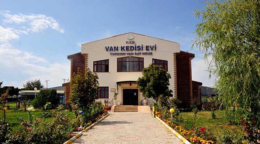 Büyük Gap ve Doğu Anadolu Turu
