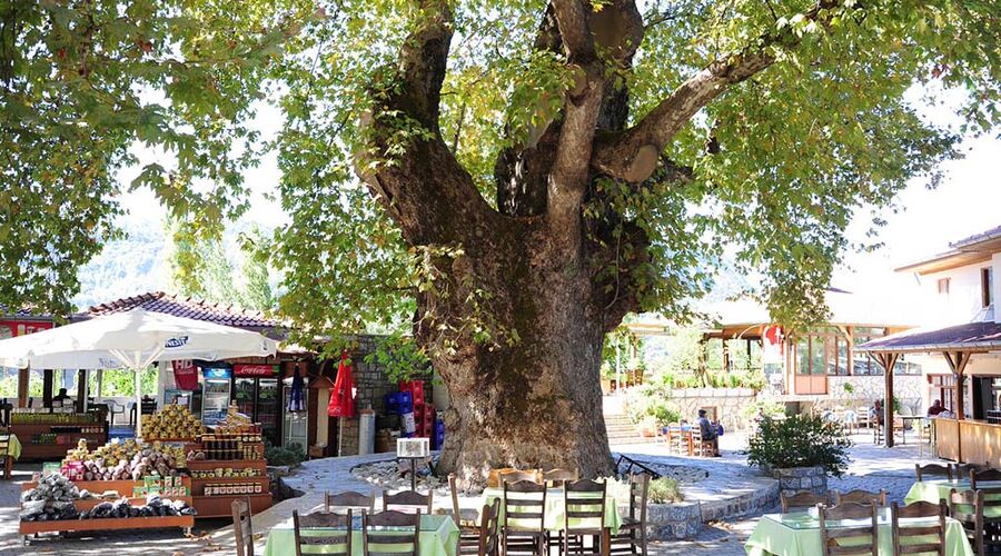 Yılbaşı Özel Datça Marmaris Turu