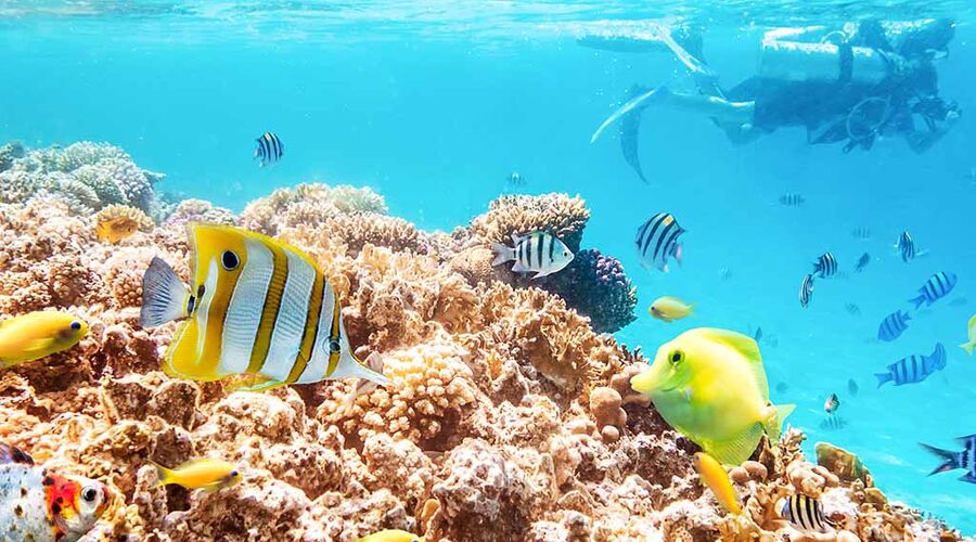 Vizesiz Sharm el-Sheikh Turu