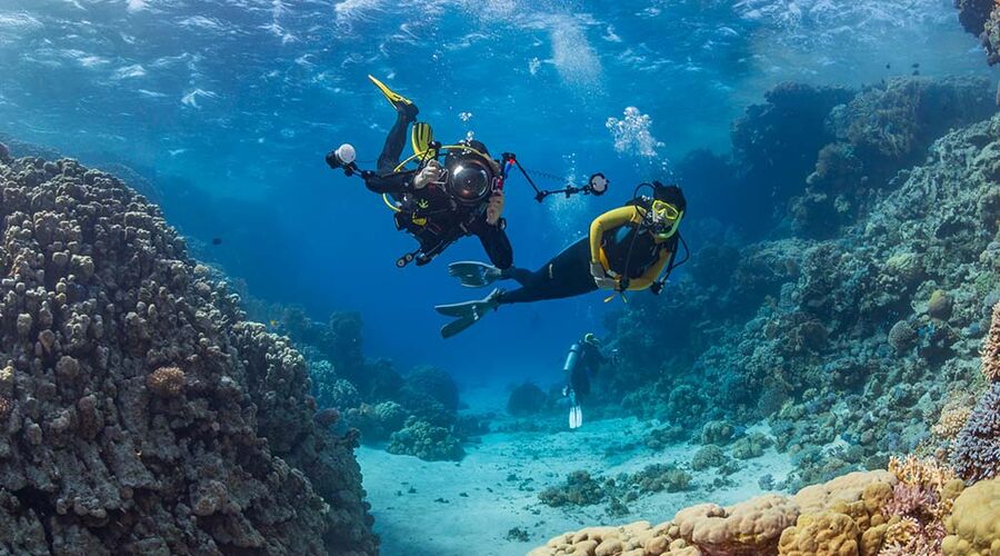 Vizesiz Sharm el-Sheikh Turu