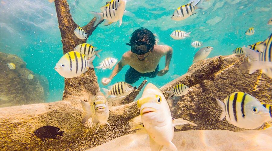 Vizesiz Sharm el-Sheikh Turu