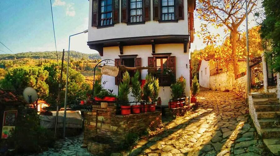 Seferihisar Mandalina Festivali