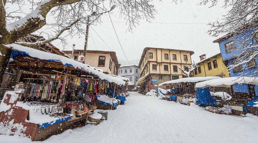 Bursa Çanakkale Turu