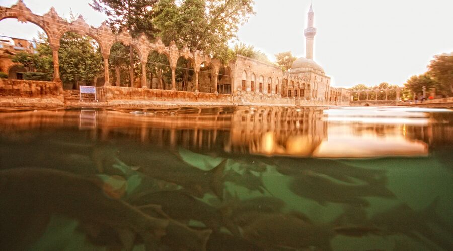 Butik Urfa Antep Turu