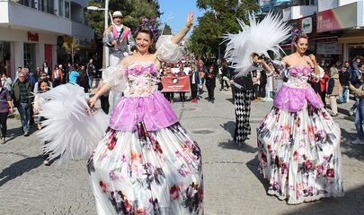 Badem Çiçeği Festivali
