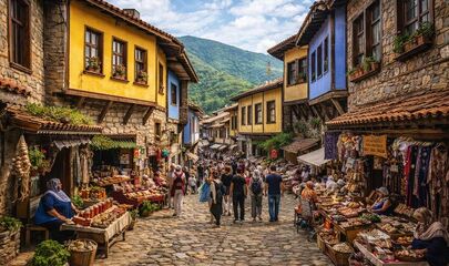 Bursa Çanakkale Turu