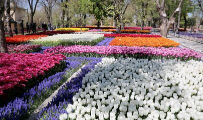 Konya Turu (Lale Bahçeleri)