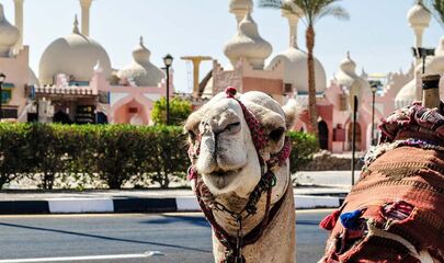 Vizesiz Sharm el-Sheikh Turu