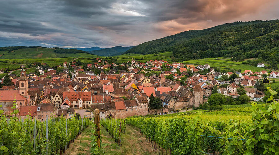Alsace Colmar Turu