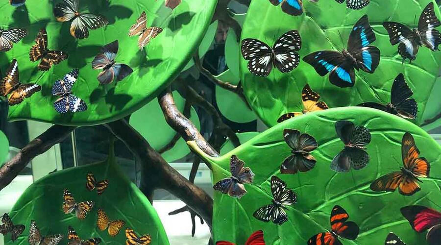 Konya Turu (Lale Bahçeleri)