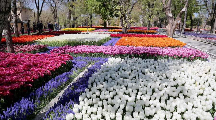 Konya Turu (Lale Bahçeleri)
